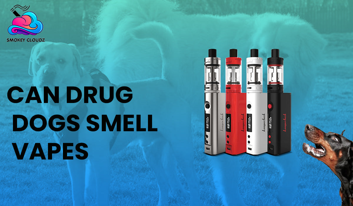 Can drug dogs smell vapes?